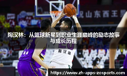 陶汉林：从篮球新星到职业生涯巅峰的励志故事与成长历程